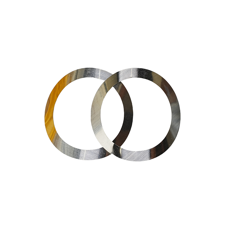 Stainless Steel Wave Spring